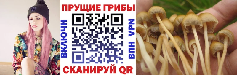 Галлюциногенные грибы MAGIC MUSHROOMS  Цимлянск 